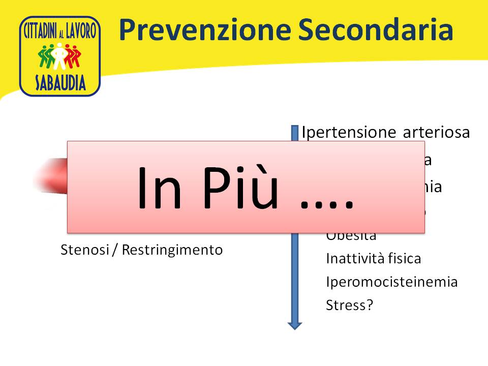 Diapositiva201