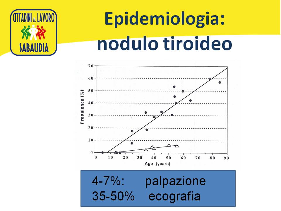 Diapositiva43